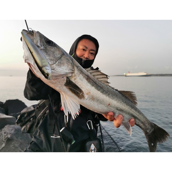 アマゾン　ボーンモデル